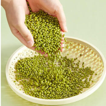 赤川 赤峰绿豆5斤 东北绿小豆（绿豆汤 真空装 杂粮粗粮) 商品图3
