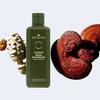 【保税仓】ORIGINS 悦木之源焕能菌菇精华水 200ml 商品缩略图1