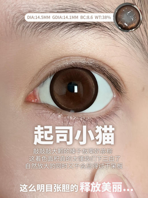 日抛 liliyacon 起司小猫 14.5 着色14.1【6片装】 商品图0