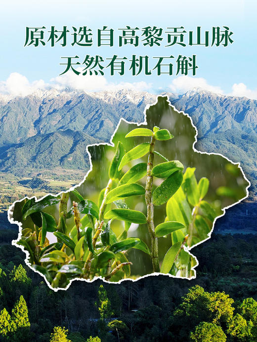 【红杏林】紫皮石斛30袋  原材选自高黎贡山脉 鲜榨石斛 胶质浓郁 不加一滴水 商品图4
