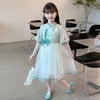 童裙女童国风连衣裙夏季新款薄款2025可爱女孩纱裙公主裙 商品缩略图3