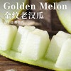 新疆金纹老汉双拼蜜瓜新疆吐鲁番基地现摘现发 商品缩略图2