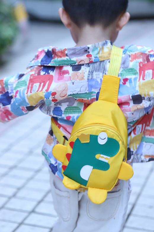 恐龙小背包 商品图2
