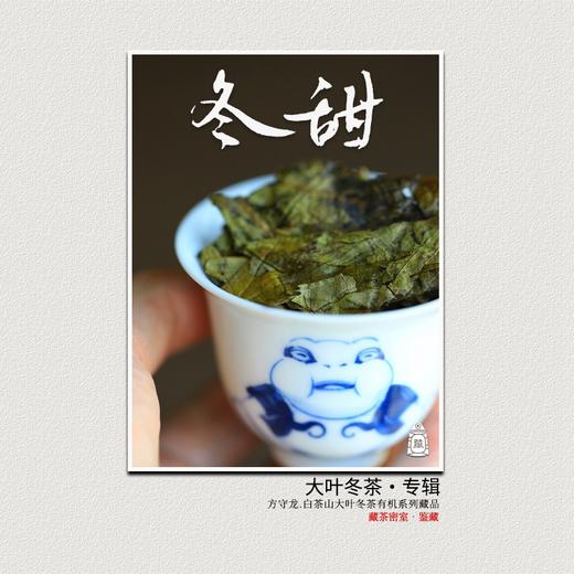 方守龙 冬甜大叶白茶全集 连续9年福鼎白茶 [官方旗舰店正品直供] 商品图0