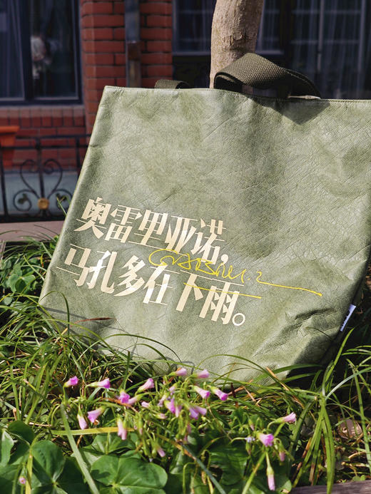 钟书阁马尔克斯百年孤独金句杜邦纸包揉纹纸包质感文学收纳出行单肩包 商品图4