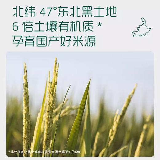 英氏番茄草莓苹果加锌营养米粉罐装258g 商品图2