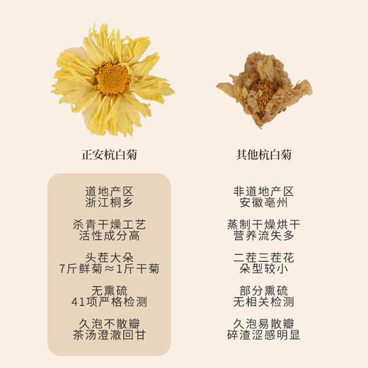 正安 浙江桐乡杭白菊  只取头茬花 朵大香甜润爽 轻松拿下火气 优质原材 60g/罐 商品图5