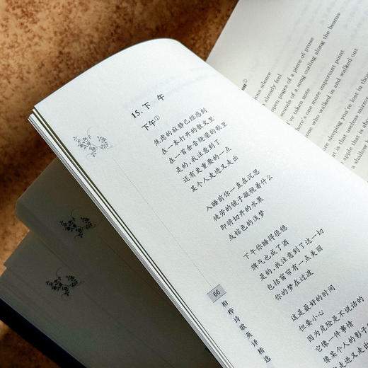 柏桦诗歌英译精选 杨安文 中国当代诗歌 汉英对照 六点图书 商品图11