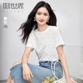 熙世界蕾丝绣花白色T恤女短袖纯棉独特超好看上衣2025年夏季新款