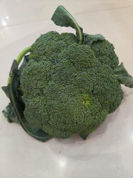 西蓝花 商品图0