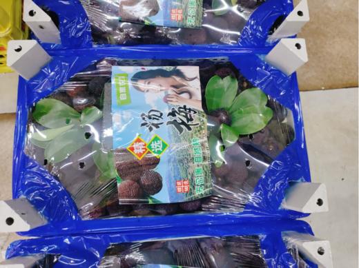 杨梅一箱 商品图1