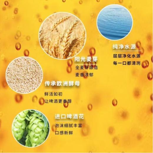 珠江啤酒12°P经典老珠江罐装 980ml 商品图3