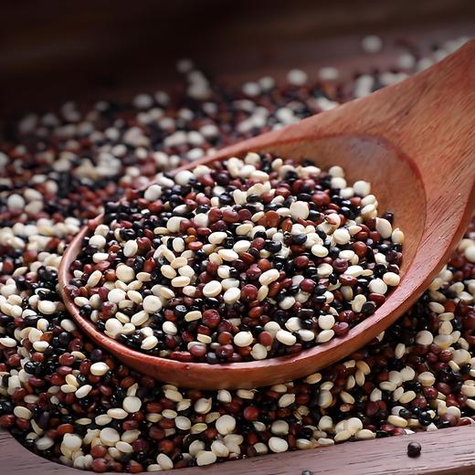 【萌谷粮】山西静乐三色藜麦 高海拔种植 粒粒饱满 营养超全面 商品图1