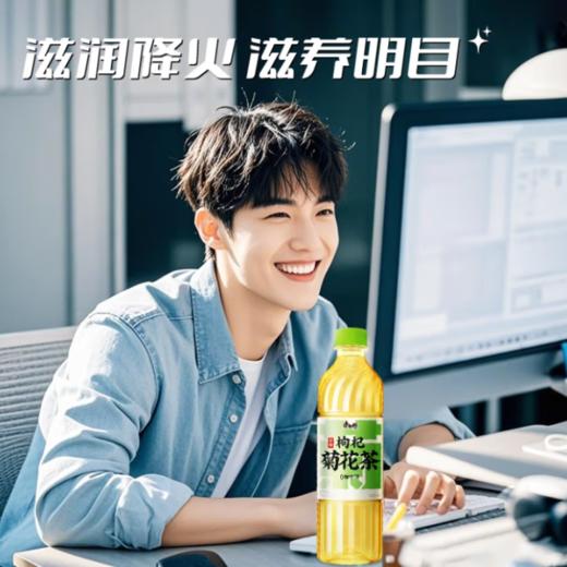 康师傅枸杞菊花茶500ml/瓶 商品图3