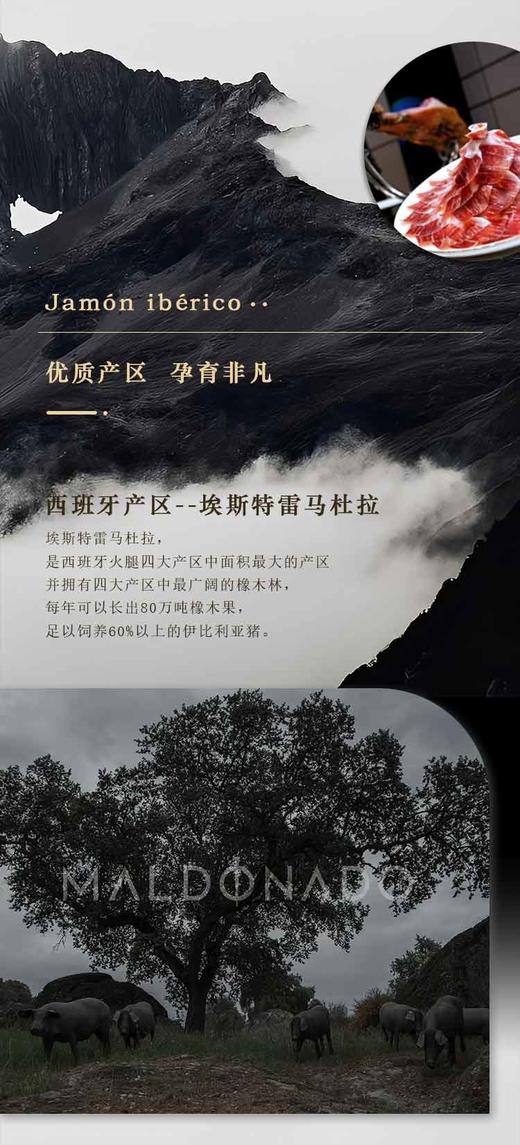 MALDONADO西班牙伊比利亚火腿（后腿） 商品图7