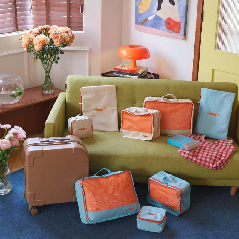 SCION小狐狸收纳合集