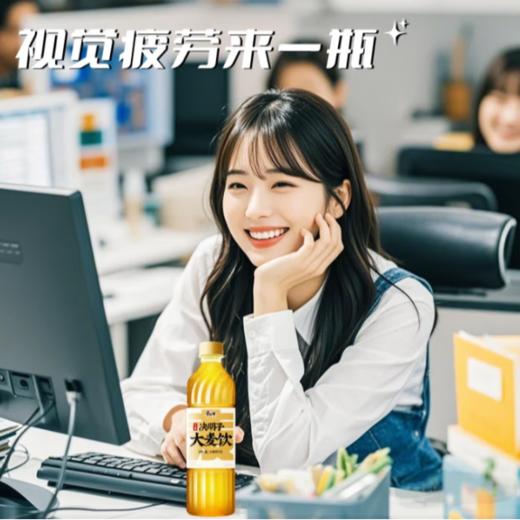 康师傅决明子大麦饮500ml/瓶 商品图3