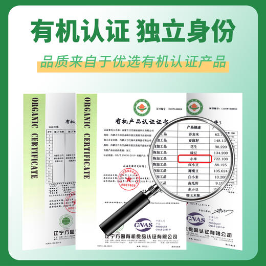 旱禾源 坡地有机敖汉小米 商品图3