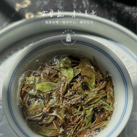 方守龙 秋香白牡丹全集 金秋五彩福鼎老白茶[官方旗舰店正品直供] 商品图3