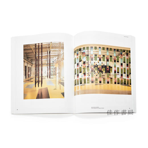 Resonating Spaces: Leonor Antunes  Silvia Bachli  Toba Khedoori  Susan Philipsz  Rachel Whiteread. 5 商品图2