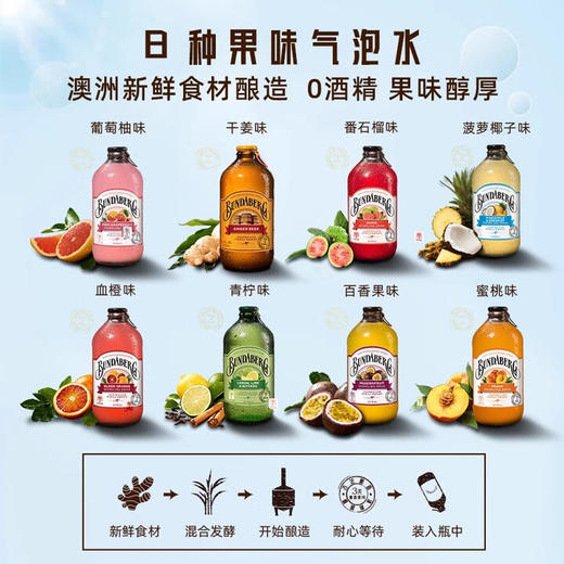 澳大利亚宾得宝含气果汁饮料375ml 不一样的果味饮料元气满满果味酸甜舒爽十足 024587/024588/024589/024590/024591/024592/02459 商品图2