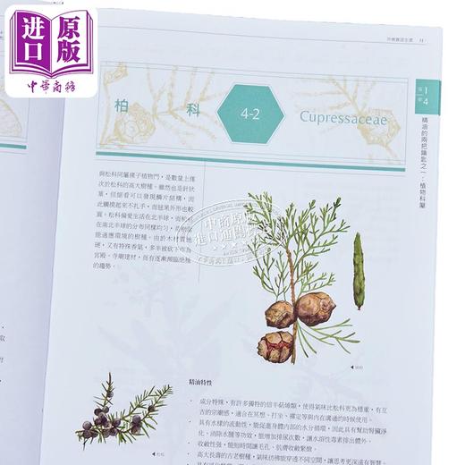 【中商原版】芳疗实证全书 畅销10周年纪念版 港台原版 温佑君 肯园芳疗师团队 野人出版 商品图4