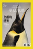 《华夏地理》杂志2025年5月刊-企鹅的秘密-来自世界上适应性最强动物之一的启示 商品缩略图0