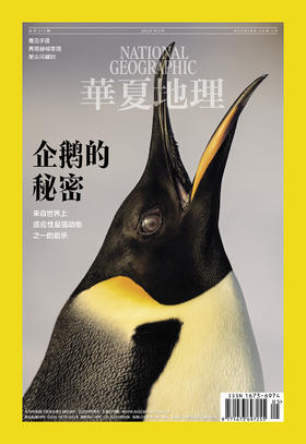 《华夏地理》杂志2025年5月刊-企鹅的秘密-来自世界上适应性最强动物之一的启示