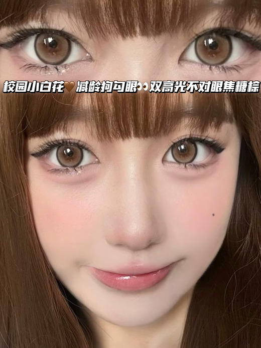 PUPPY 日系犬系泰迪棕【日抛·十片装】 商品图0