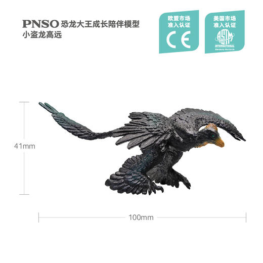 PNSO恐龙大王成长陪伴模型22小盗龙高远 商品图4