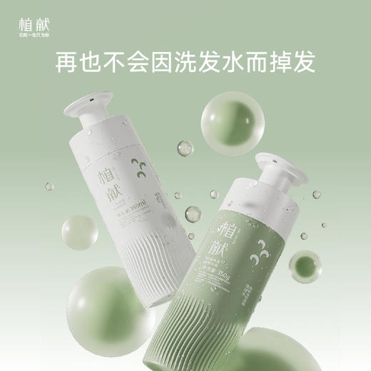 植献氨基酸洗发水——无硅油持久控油去屑止痒净屑蓬松防断发 商品图0