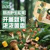 太太乐松茸鲜调味料 原味鲜系列 松茸鲜调味料75g(加嘴装)0添加 /粮油调味 /调味品 /味精/鸡精 商品缩略图6