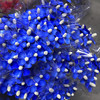 紫罗兰.宝蓝色（干花） 商品缩略图0