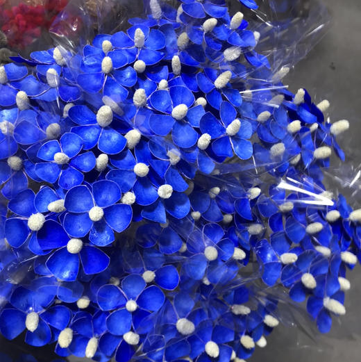 紫罗兰.宝蓝色（干花） 商品图0
