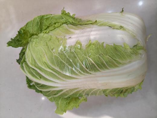 大白菜 商品图0