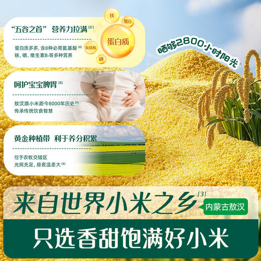 婴幼儿无麸质小米软米饼【57元任选3件+4件礼品】 商品图4