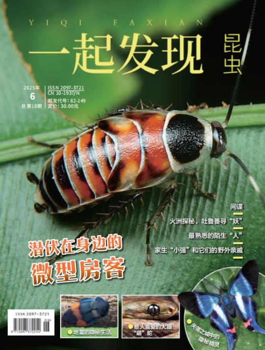 2025年《一起发现》全年10本一次发出 商品图2