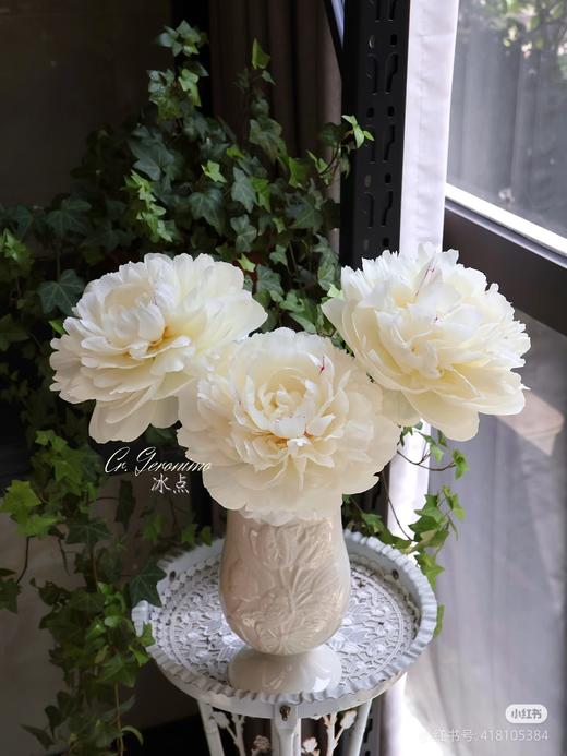 冰点芍药5支 商品图8