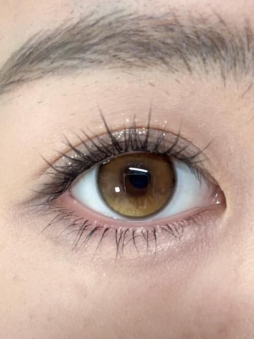 toastnomi日抛 浓情黑豆/纵享可可/黄金时代 14.5mm 日抛无售后 有同款半年抛 商品图2