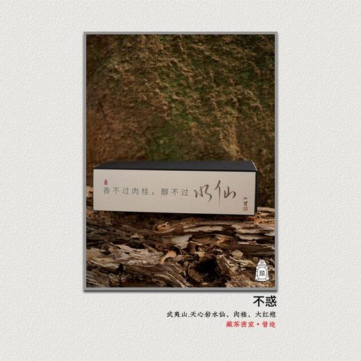 【不惑】2023年武夷岩茶  水仙肉桂大红袍老枞礼盒 商品图0