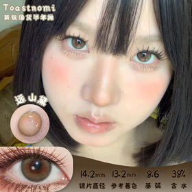 toastnomi 远山黛 半年抛 两片 14.2mm 参考着色 13.2mm 基弧 8.6 含水 38% 韩国进口