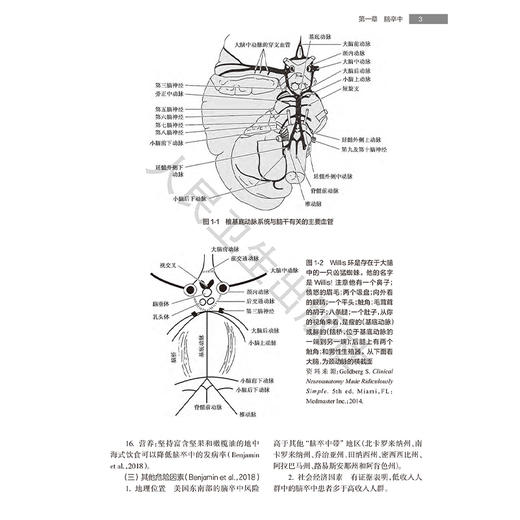 康复医师进阶精要 第4版 毕胜 敖丽娟 何成奇 汇集了PM&R认证考试中最新的骨科神经科以及综合医疗信息于一体的著作人民卫生出版社 商品图4