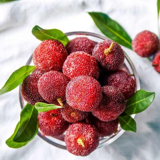 浮宫东魁杨梅中果80粒装单果14-19克（约2.5斤） 商品图2