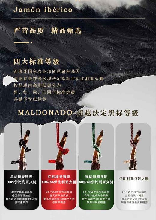 MALDONADO西班牙伊比利亚火腿（后腿） 商品图12