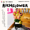 RICH FLOWER 有钱花 SMILEY联名版 30CM 联名系列摆件客厅装饰毛绒玩具公仔 商品缩略图2