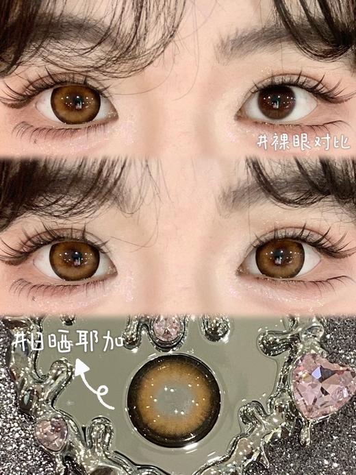 onlycon 半年抛 【日晒耶加】 14.5mm 商品图1