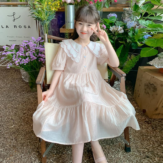 ZHX999-24&YTTX-Z6480女童翻领连衣裙夏季新款中大童韩版洋气公主裙薄款童裙 商品图2