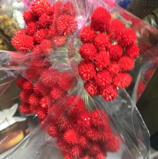 千日红.红色（干花） 商品图0