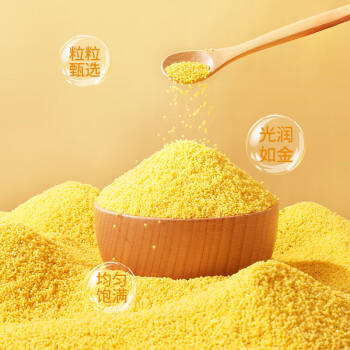 燕之坊黄小米2斤内蒙古赤峰小黄米小米粥五谷杂粮粗粮 /粮油调味 /杂粮 /谷米类 商品图4