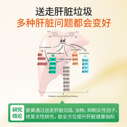 芬兰Hyllers有机姜黄素粉200g/袋   A-4947 商品图2